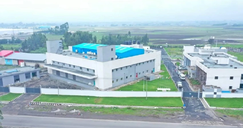 Kilitch Drugs to Divest Ethiopian Subsidiary for US$14 Million Kilitch Drugs to Divest Ethiopian Subsidiary for US$14 Million